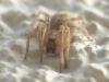 212544 – Photo : Florian ALONSO – France (21)